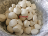 MF50 Dough Divider Dough Cutter Machine For Bakery Bread Pizza Cookie Dough Cutting 7