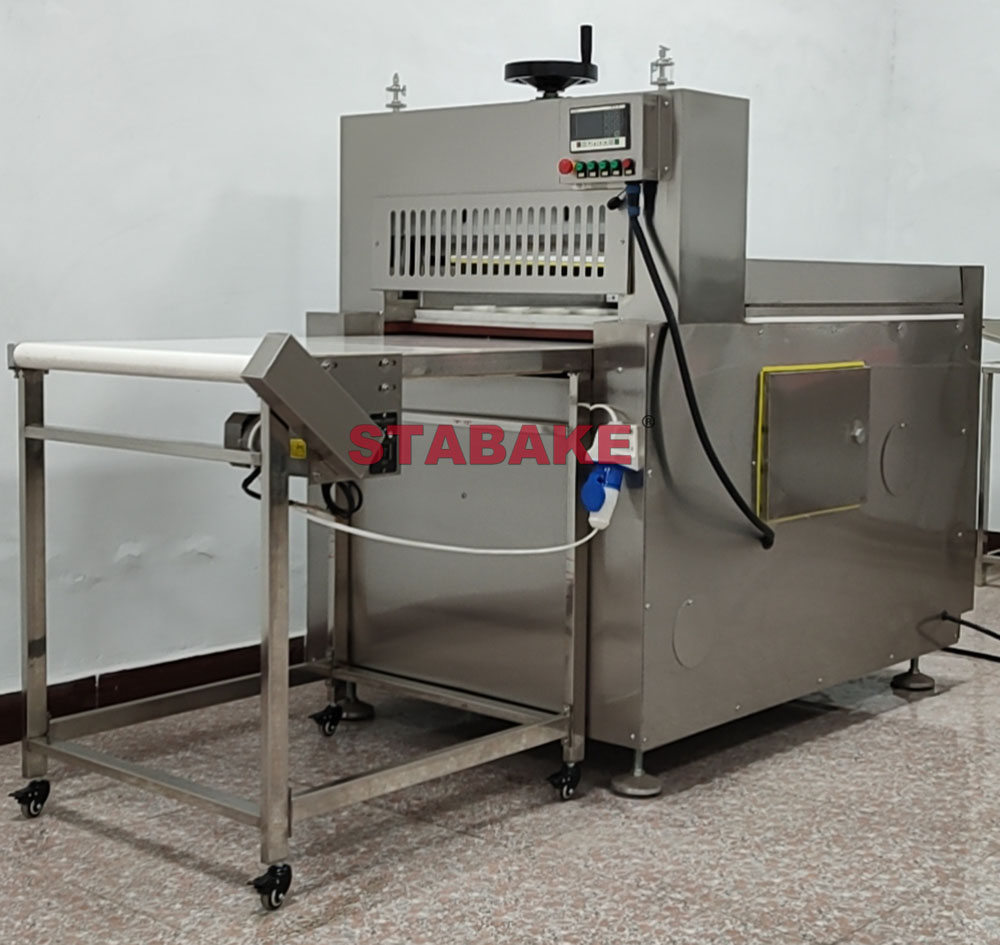 Frozen Meat Slicing Machine (2)