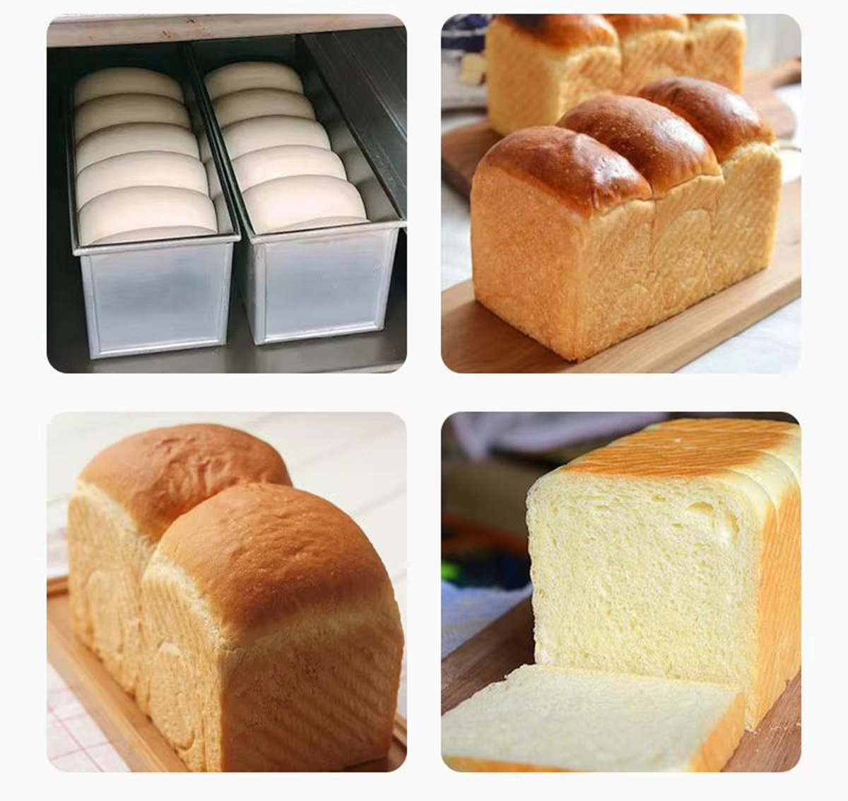 Toast Bread